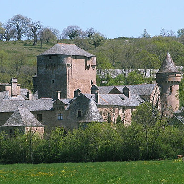 Photo de Château des Bourines