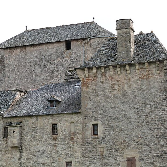 Photo de Château des Bourines