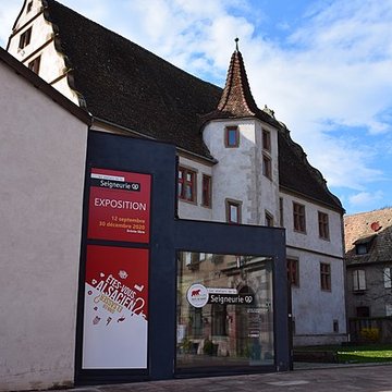 Hôtel, 8 Rue Docteur-Stoltz dAndlau