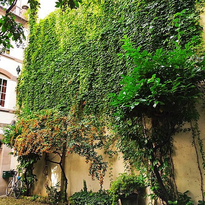 Photo de Immeuble au 11 Quai des Bateliers à Strasbourg