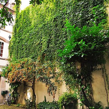 Immeuble au 11 Quai des Bateliers à Strasbourg