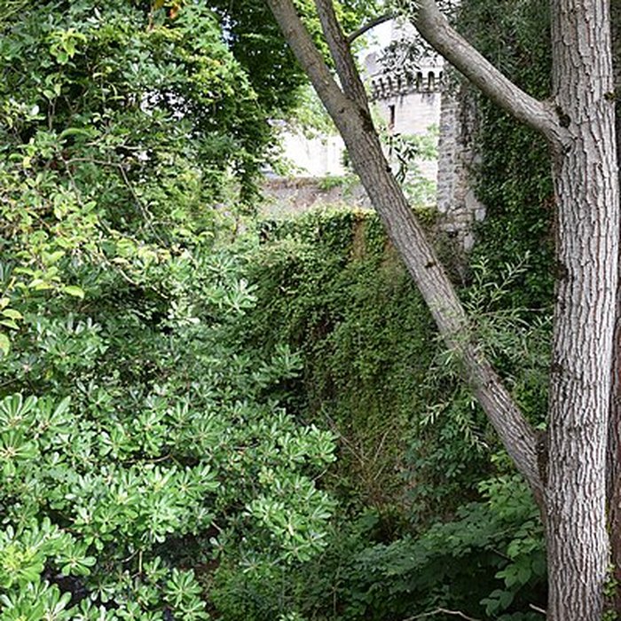 Photo de Château des duc dAlençon