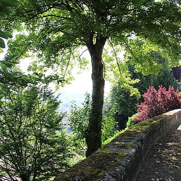 Photo de Musée barrois au Château des ducs de Bar