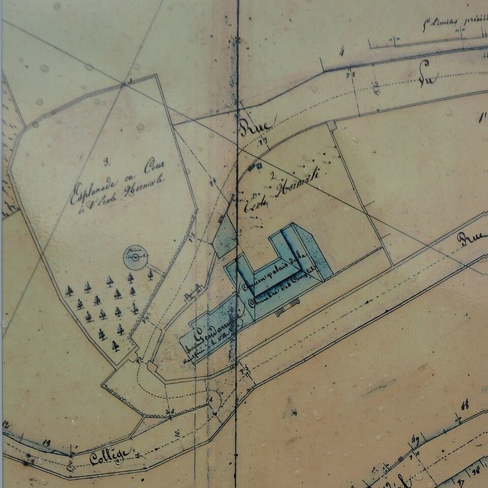 Photo de Musée barrois au Château des ducs de Bar