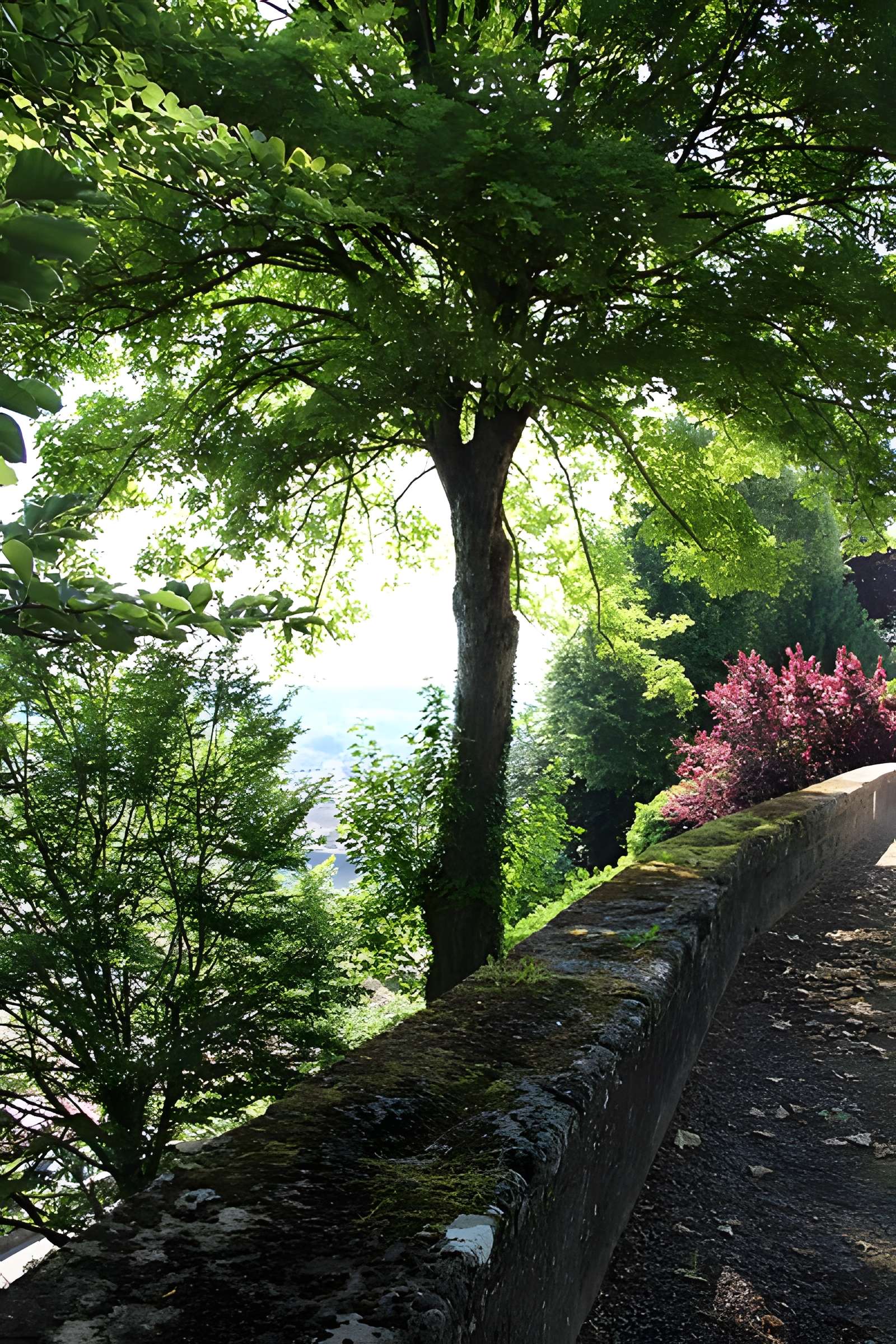 Château des Ducs de Bar