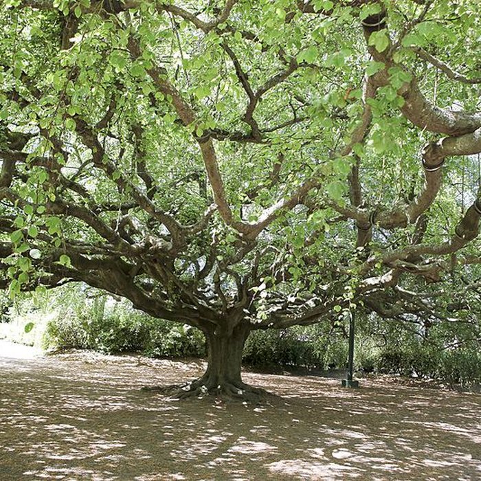 Photo de Jardin public de Bayeux