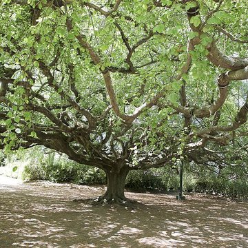 Jardin public de Bayeux