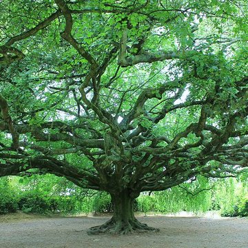 Jardin public de Bayeux