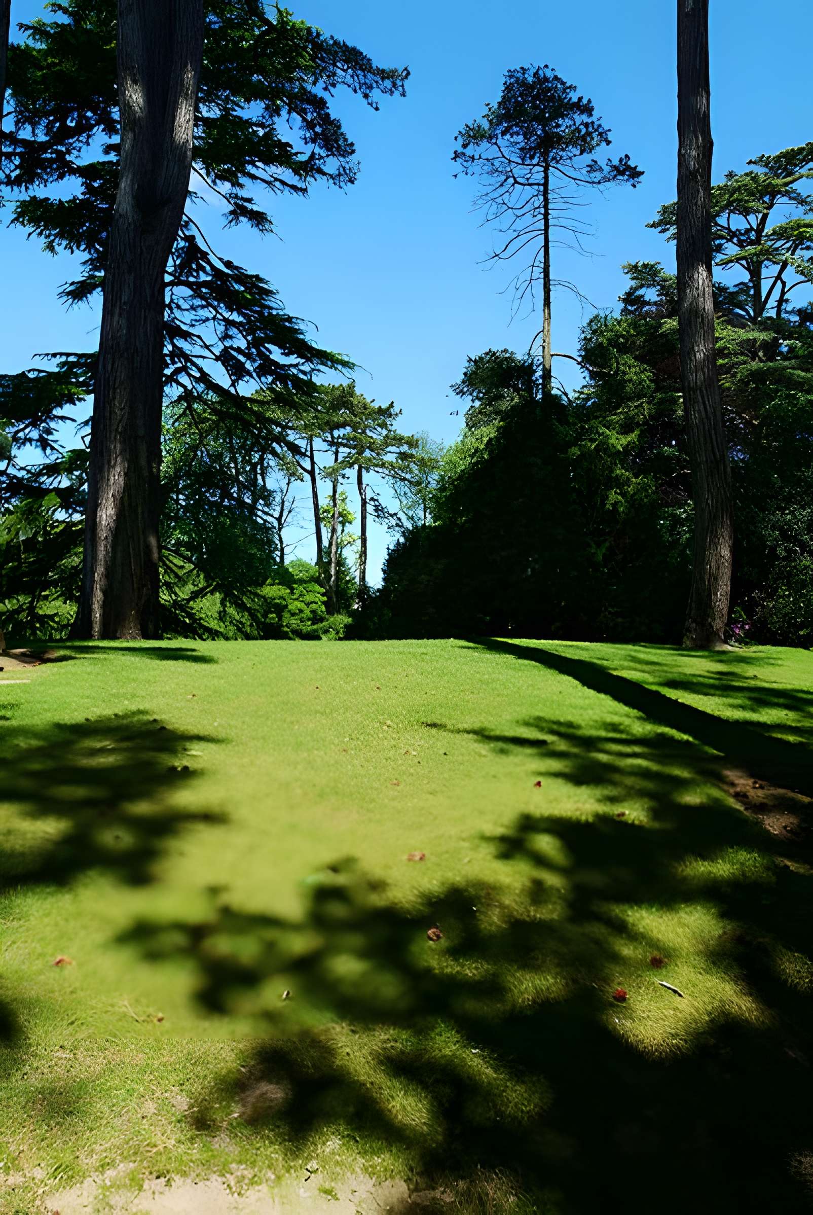 Jardin public de Bayeux