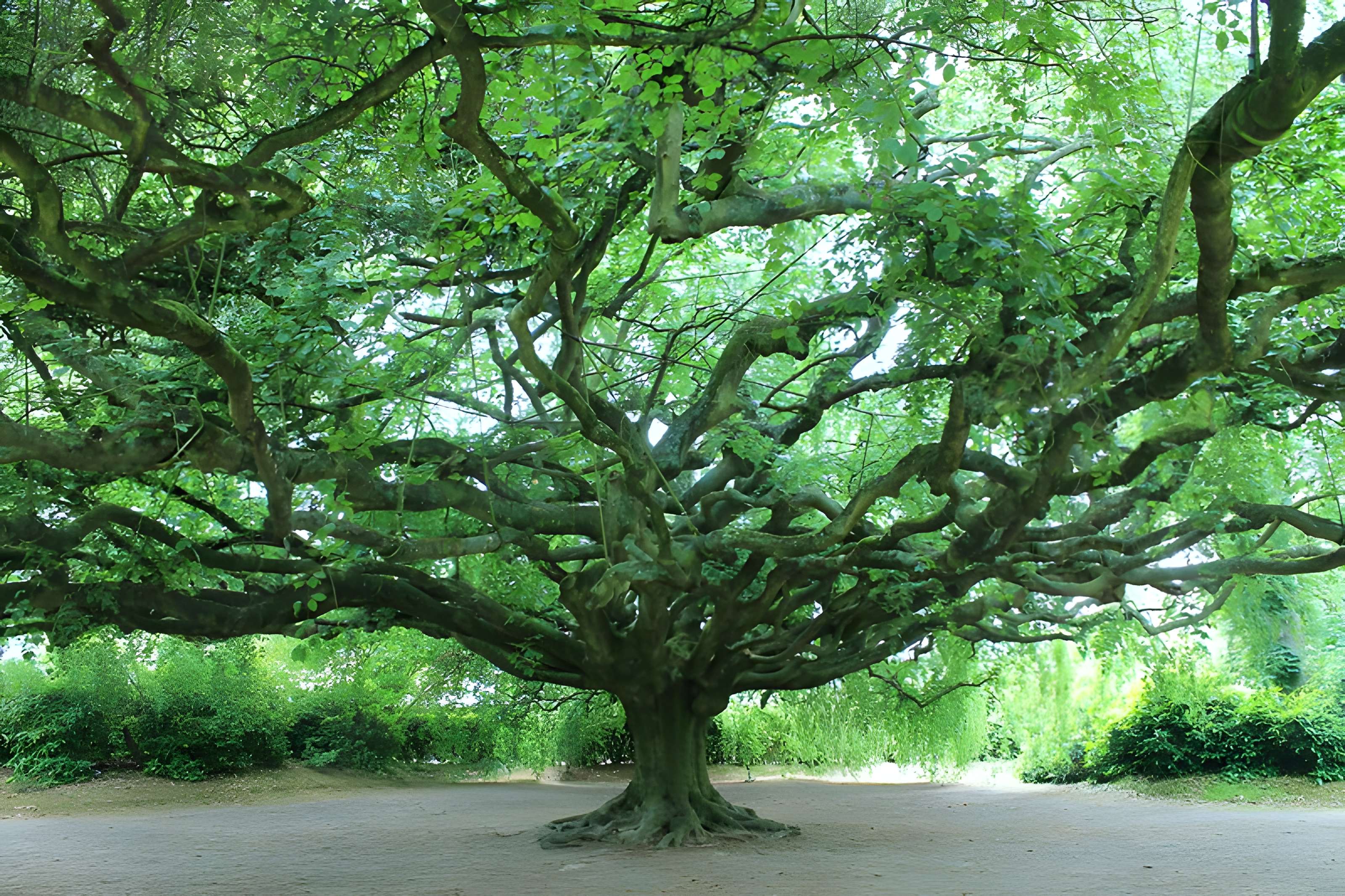 Jardin public de Bayeux