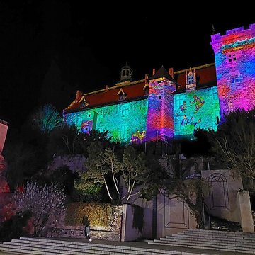 Château des ducs de Bourbon à Montluçon