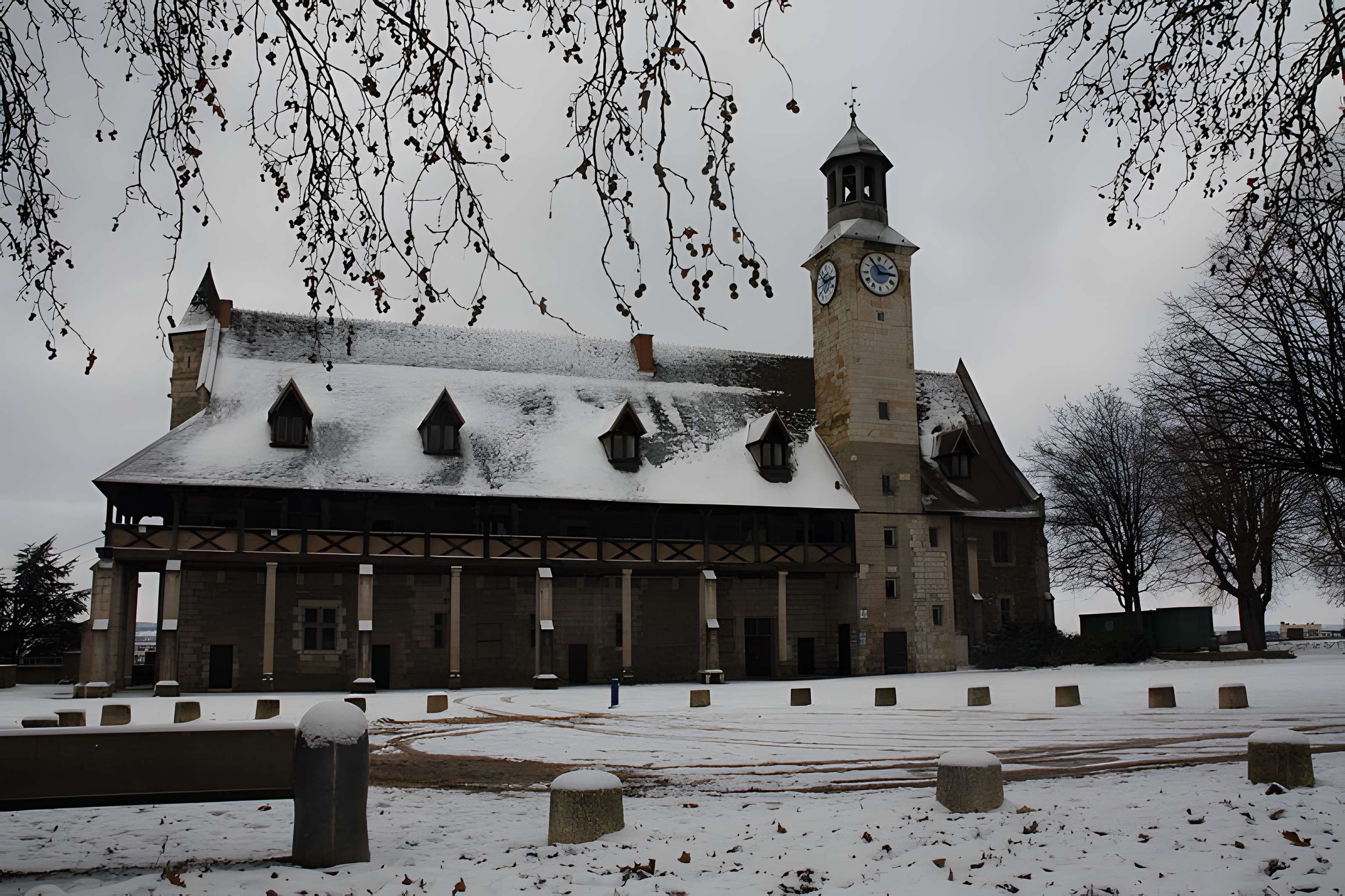 Château des ducs de Bourbon à Montluçon