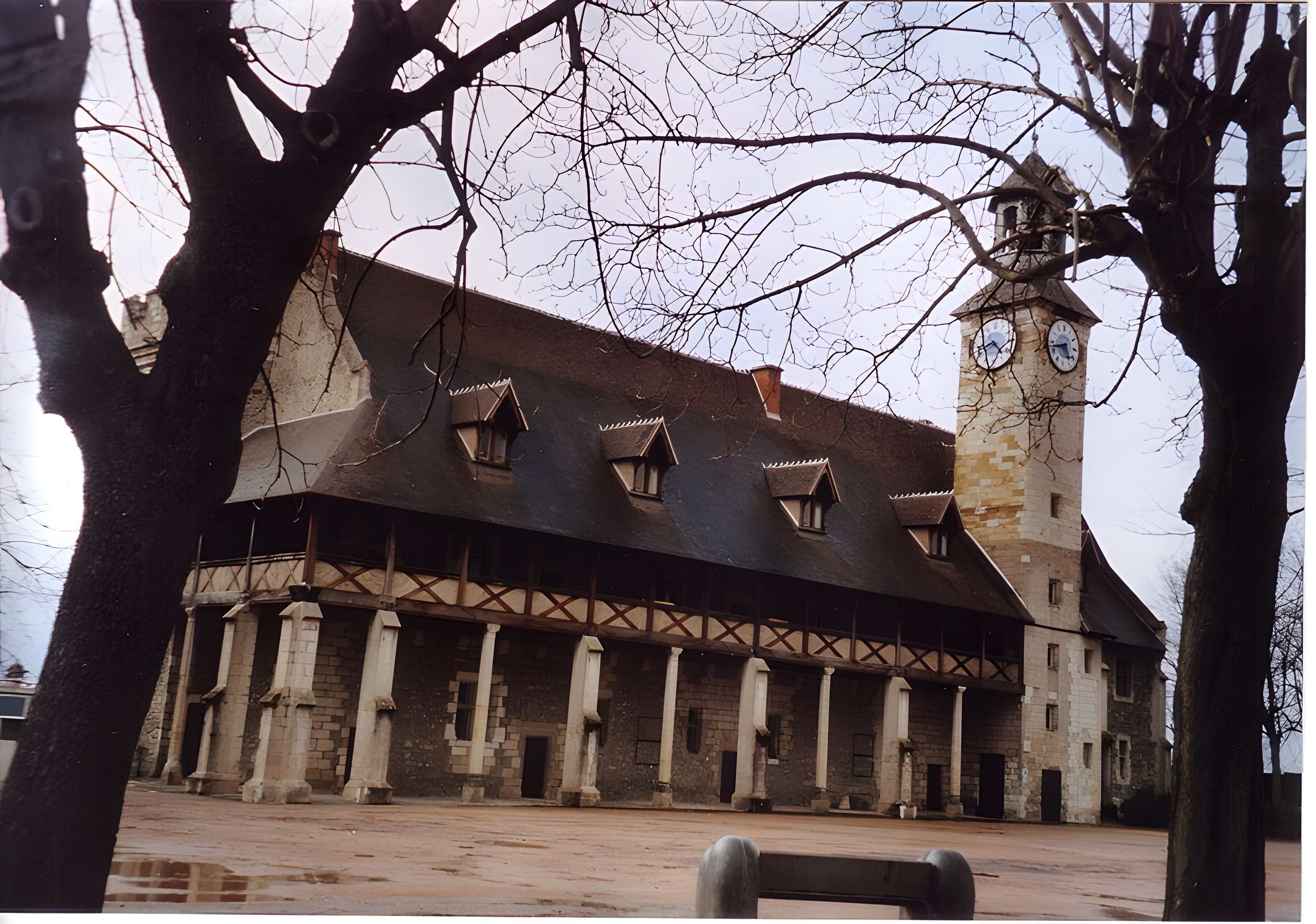 Château des ducs de Bourbon à Montluçon