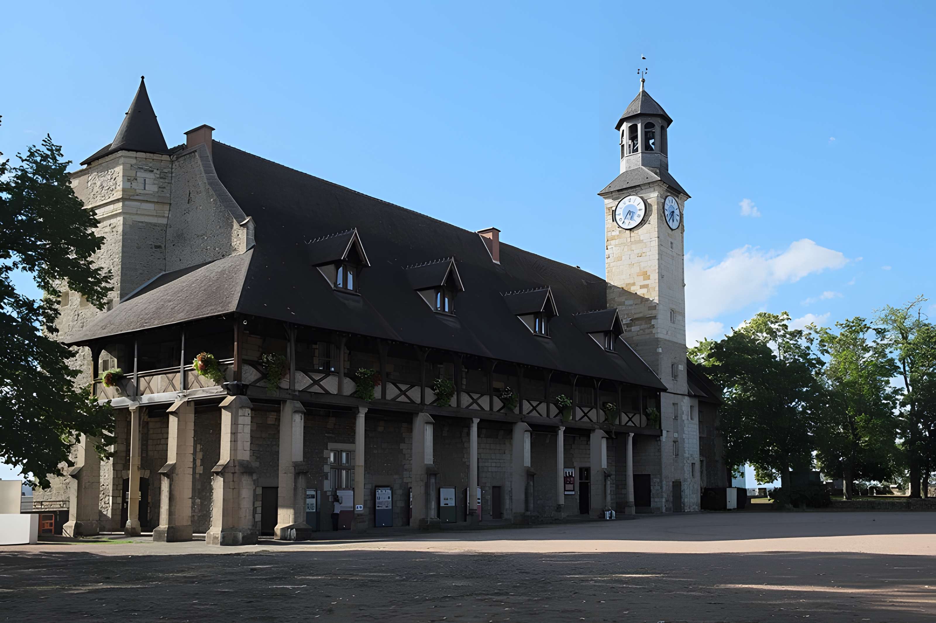 Château des ducs de Bourbon à Montluçon