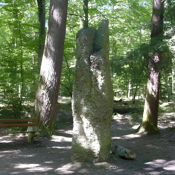 Photo de Langenstein de Soultzmatt