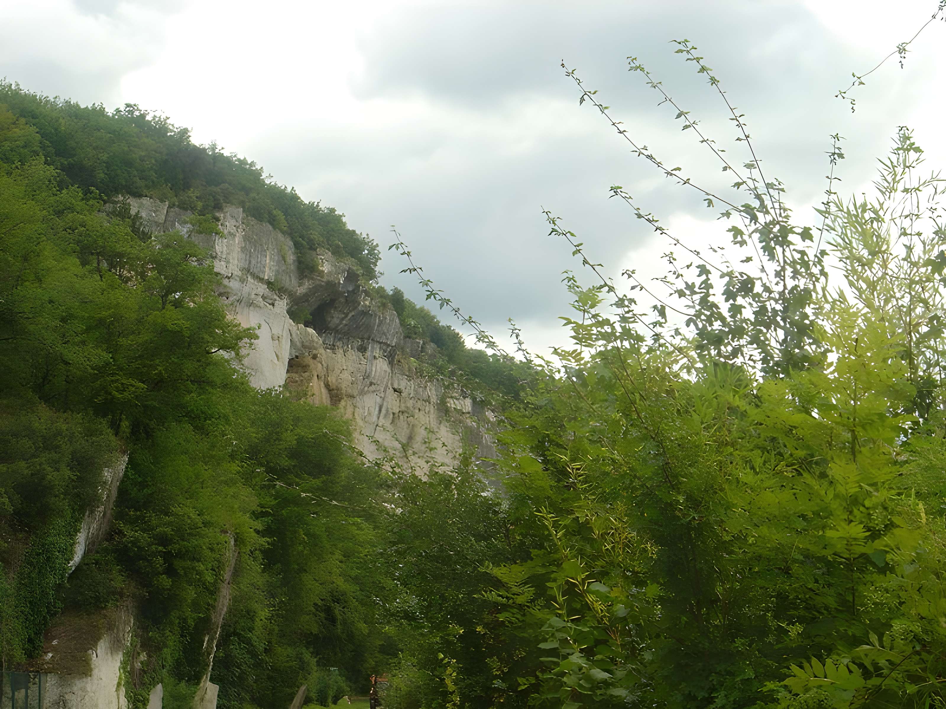 Laugerie-Haute des Eyzies-de-Tayac-Sireuil 