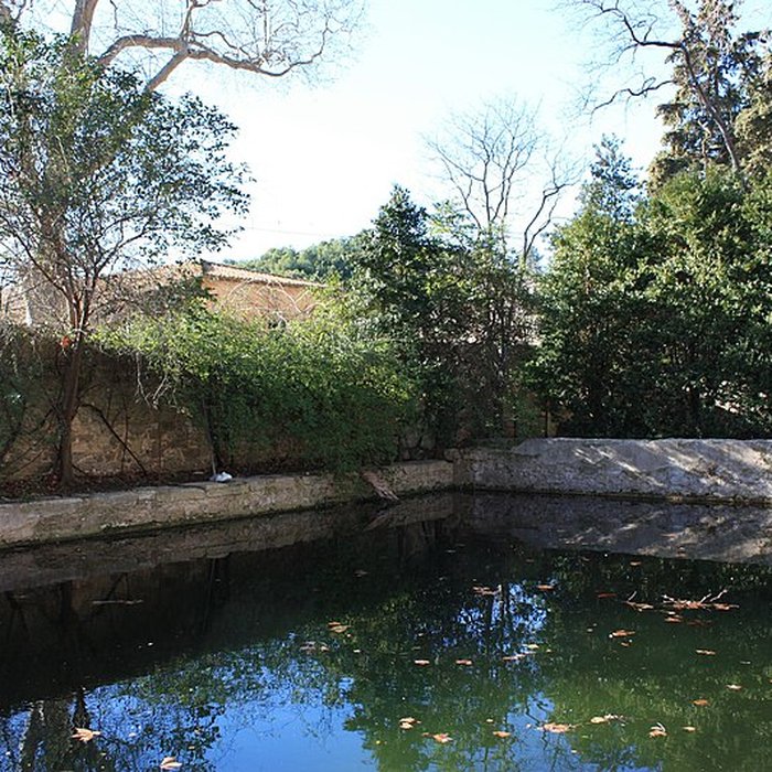 Photo de Abbaye de Valmagne