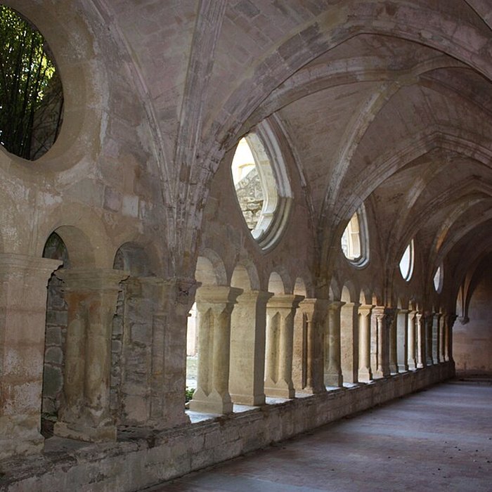 Photo de Abbaye de Valmagne