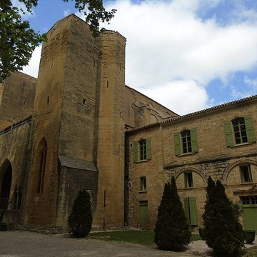 Abbaye de Valmagne