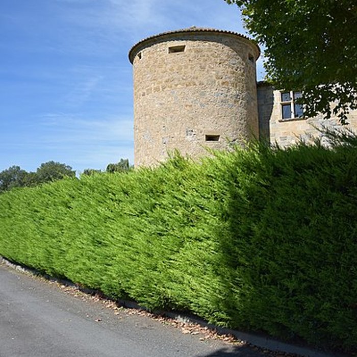 Photo de Château des ducs de Joyeuse