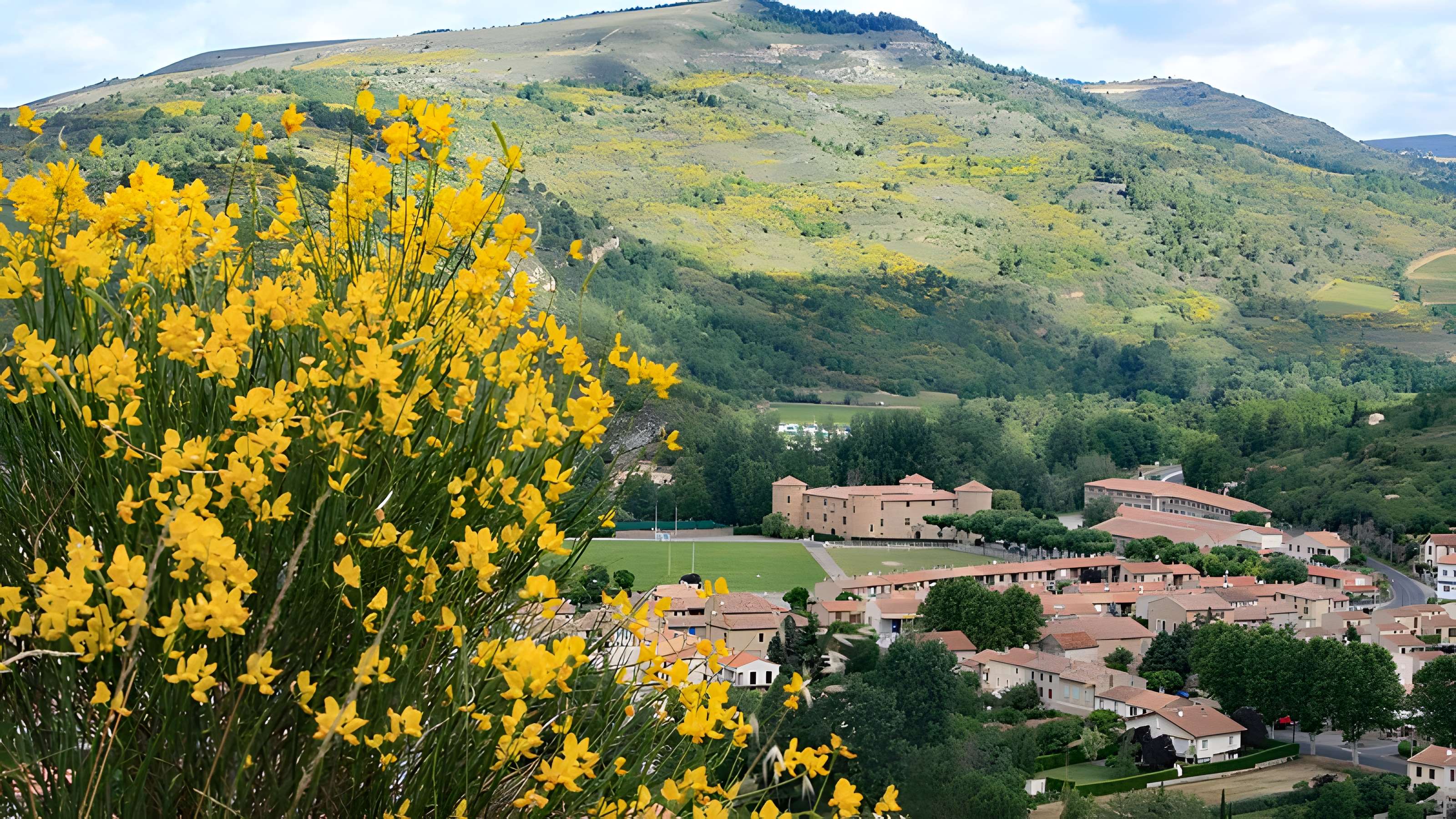 Château des ducs de Joyeuse