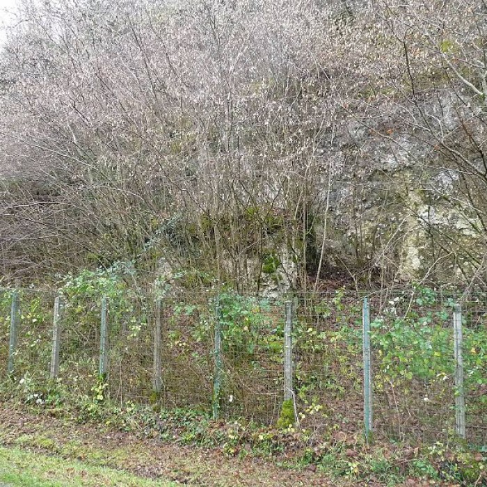 Photo de Le site préhistorique de la Quina à Gardes-le-Pontaroux