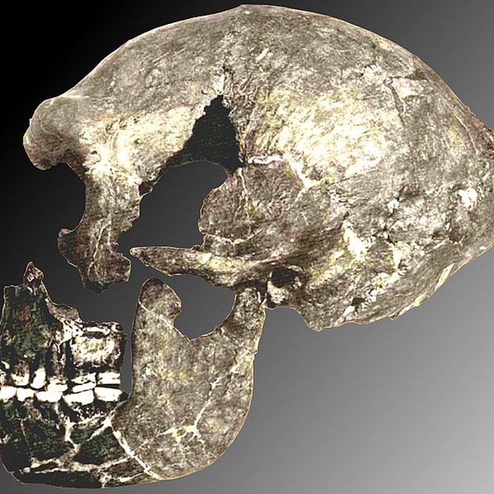 Photo de Le site préhistorique de la Quina à Gardes-le-Pontaroux