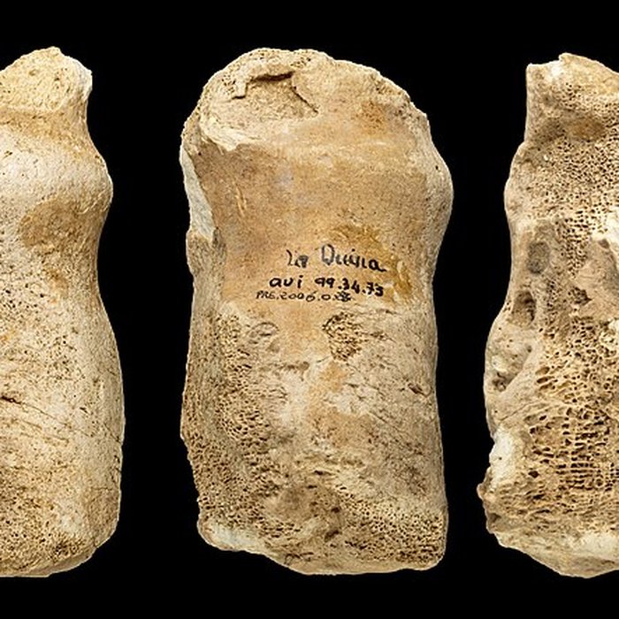 Photo de Le site préhistorique de la Quina à Gardes-le-Pontaroux