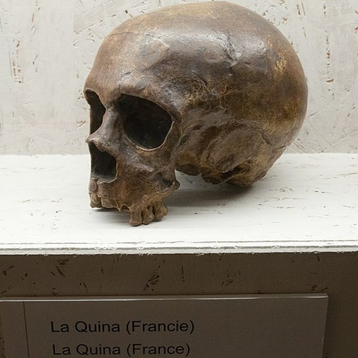 Photo de Le site préhistorique de la Quina à Gardes-le-Pontaroux