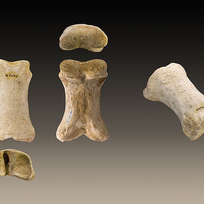 Photo de Le site préhistorique de la Quina à Gardes-le-Pontaroux