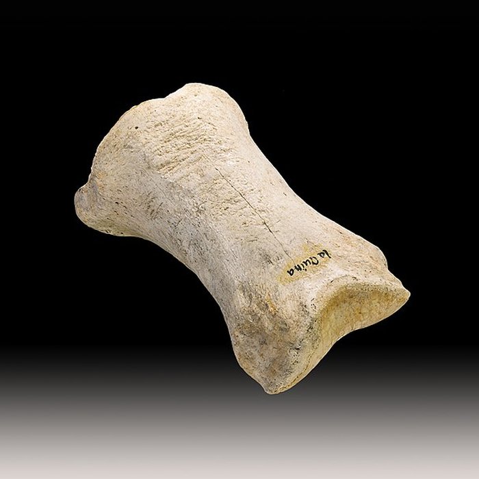 Photo de Le site préhistorique de la Quina à Gardes-le-Pontaroux