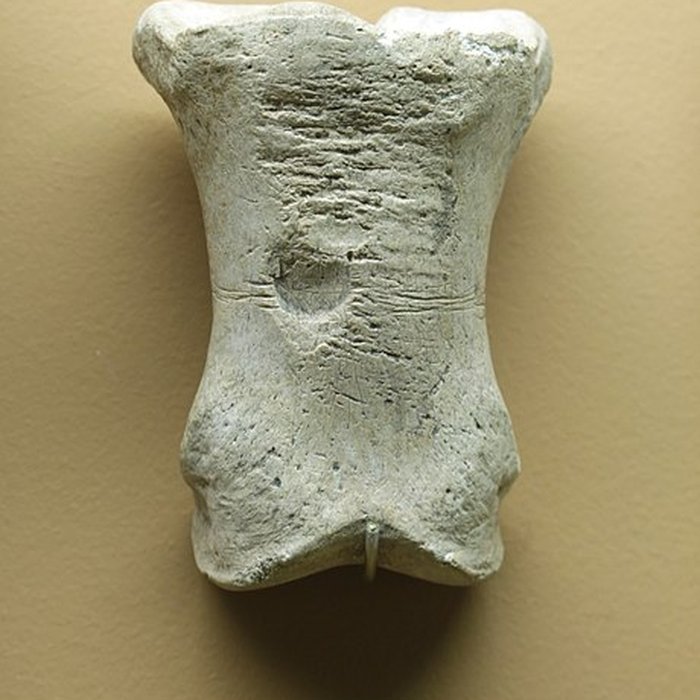 Photo de Le site préhistorique de la Quina à Gardes-le-Pontaroux