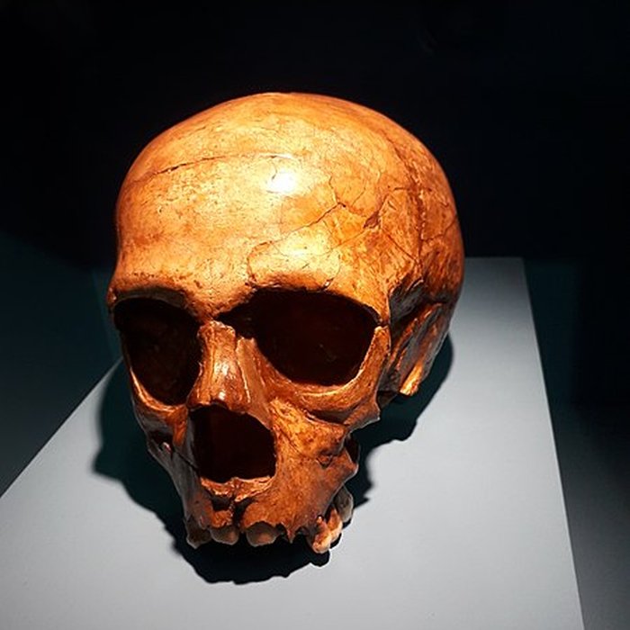 Photo de Le site préhistorique de la Quina à Gardes-le-Pontaroux