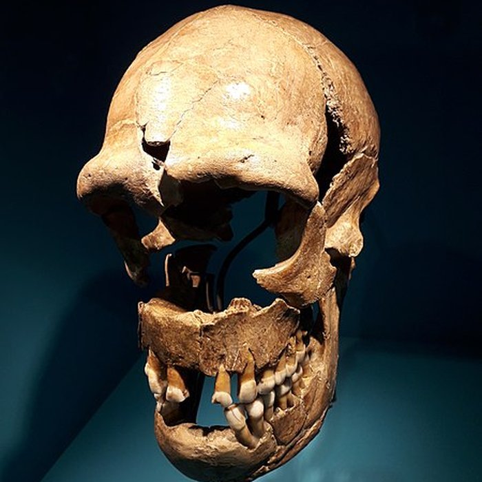 Photo de Le site préhistorique de la Quina à Gardes-le-Pontaroux