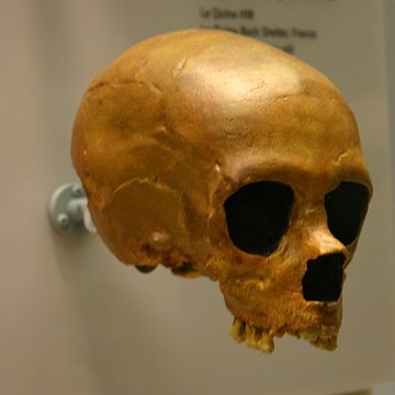 Le site préhistorique de la Quina à Gardes-le-Pontaroux