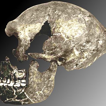 Le site préhistorique de la Quina à Gardes-le-Pontaroux