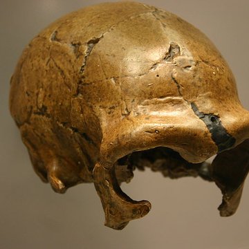 Le site préhistorique de la Quina à Gardes-le-Pontaroux