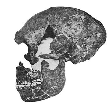 Le site préhistorique de la Quina à Gardes-le-Pontaroux