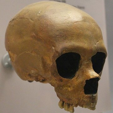 Le site préhistorique de la Quina à Gardes-le-Pontaroux