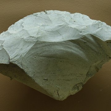 Le site préhistorique de la Quina à Gardes-le-Pontaroux