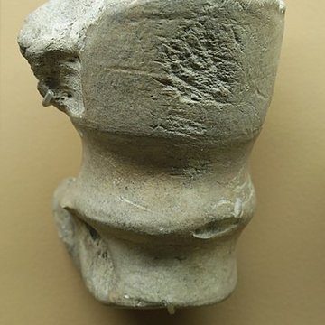 Le site préhistorique de la Quina à Gardes-le-Pontaroux