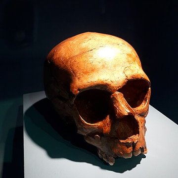 Le site préhistorique de la Quina à Gardes-le-Pontaroux