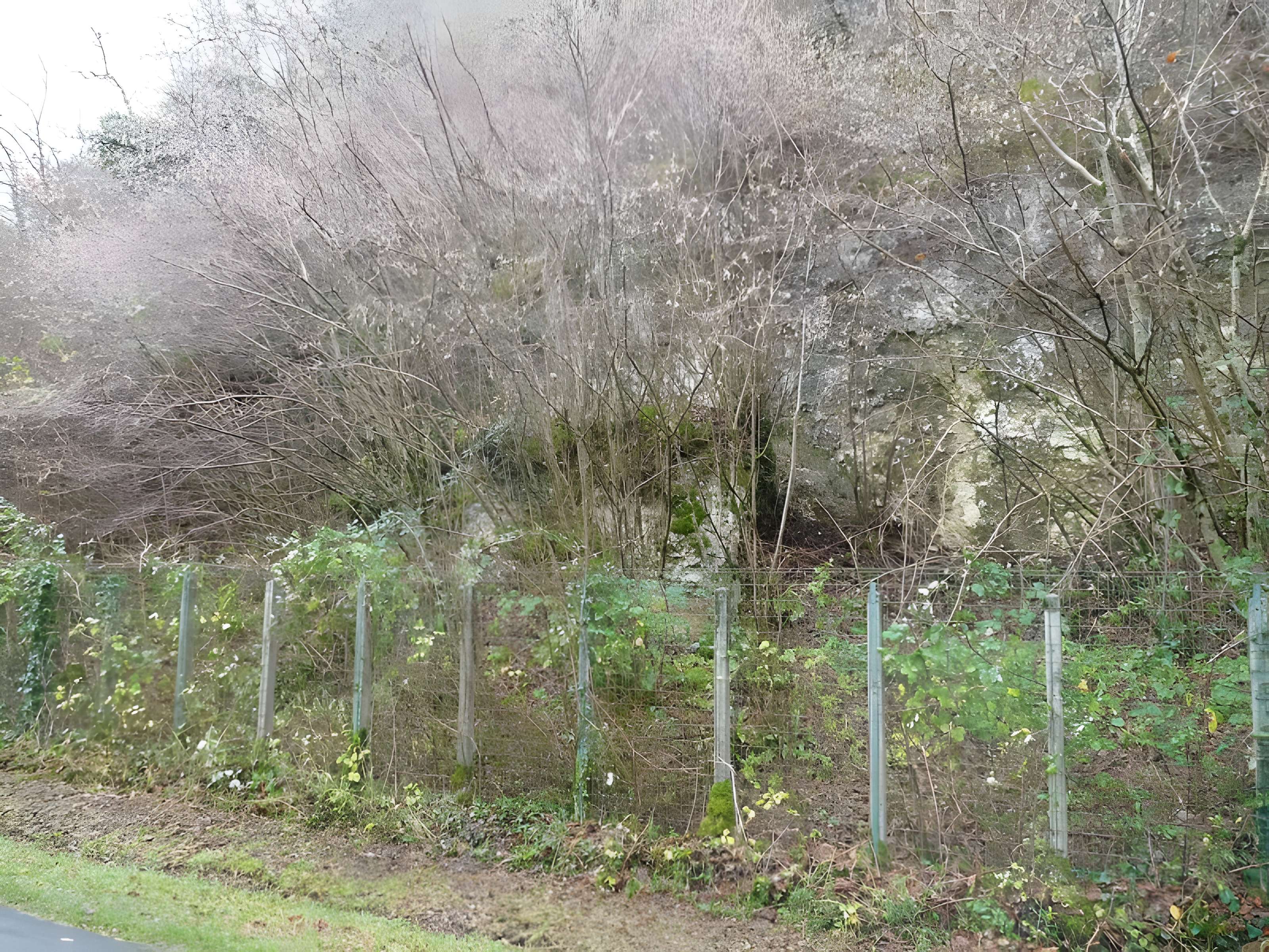 Le site préhistorique de la Quina à Gardes-le-Pontaroux 