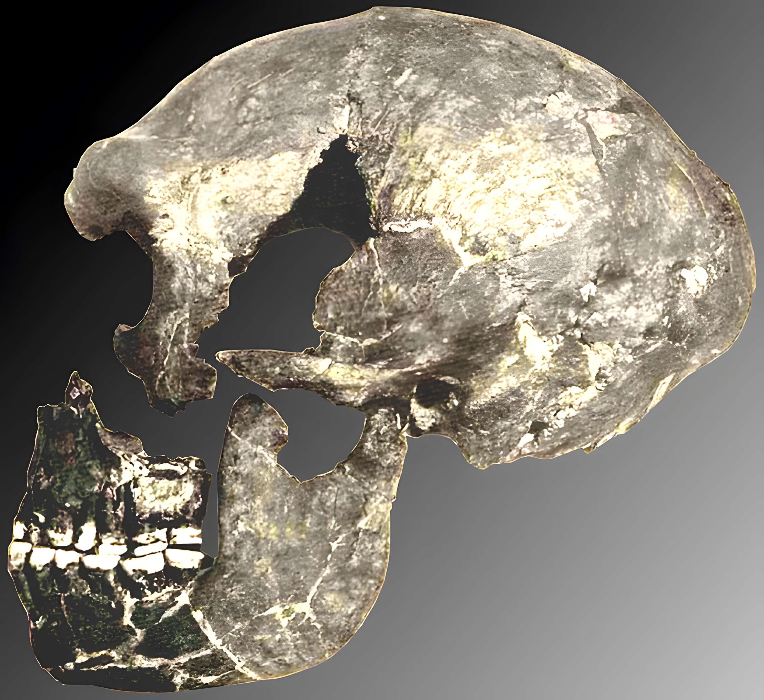 Le site préhistorique de la Quina à Gardes-le-Pontaroux