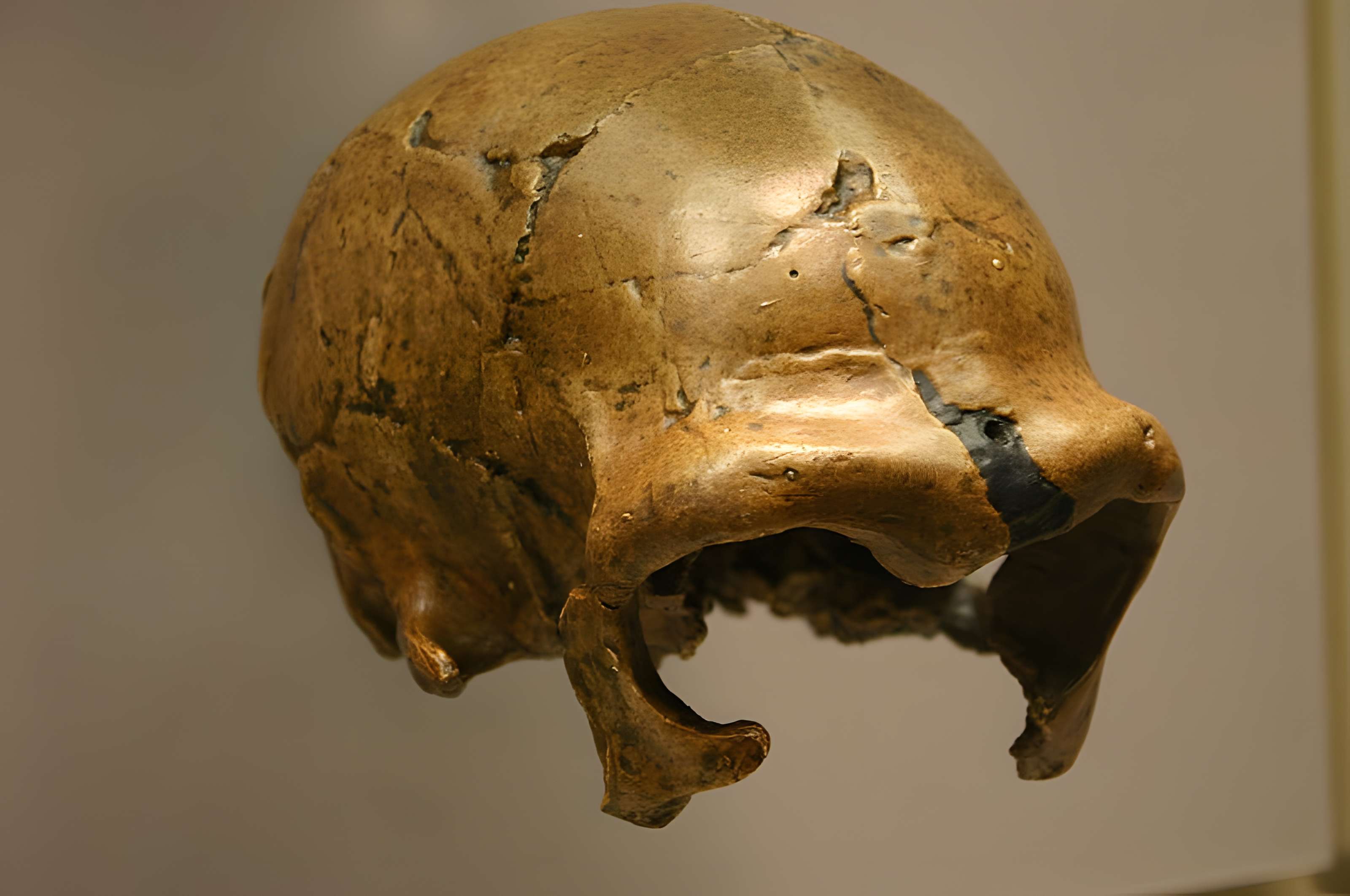 Le site préhistorique de la Quina à Gardes-le-Pontaroux