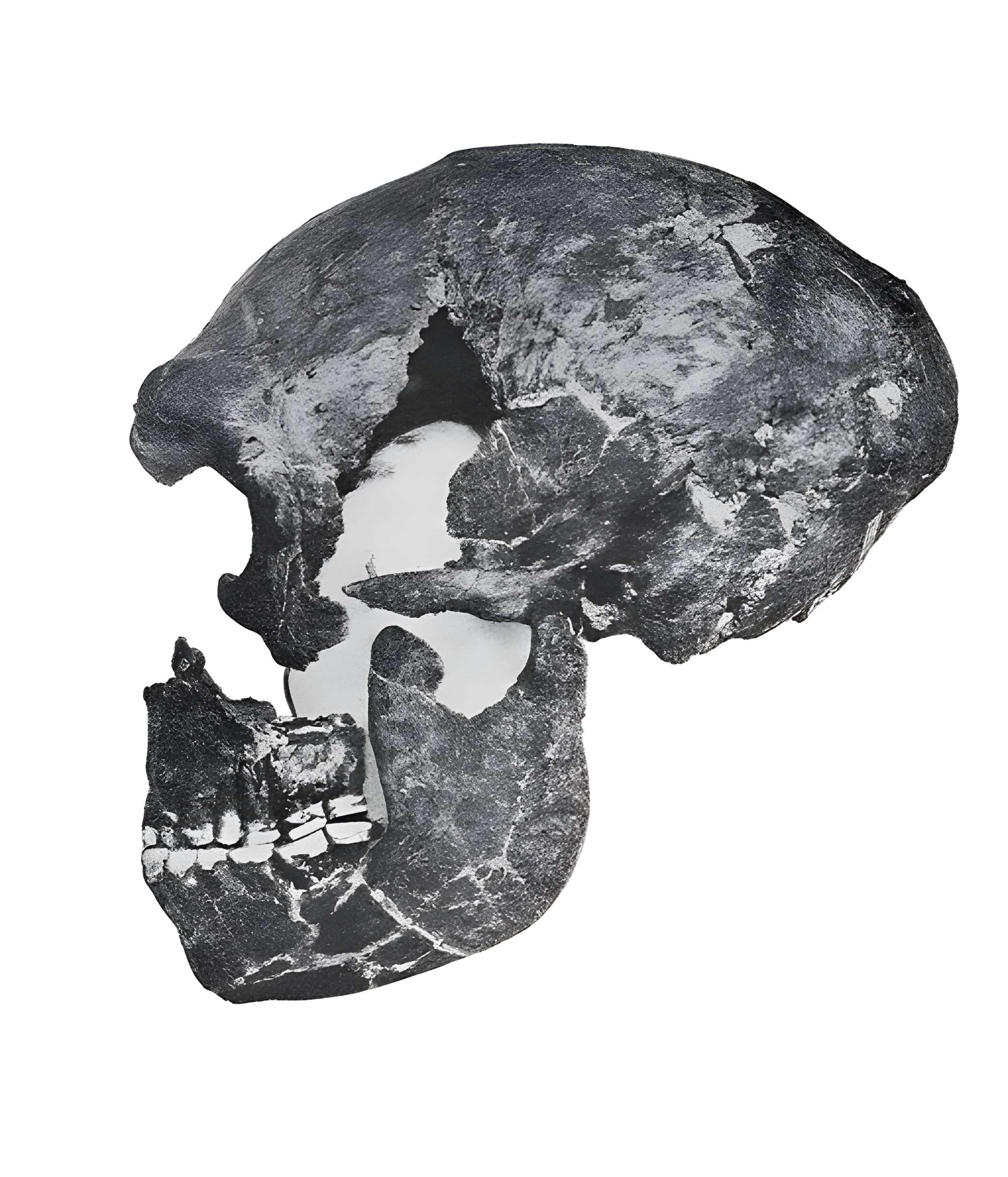 Le site préhistorique de la Quina à Gardes-le-Pontaroux