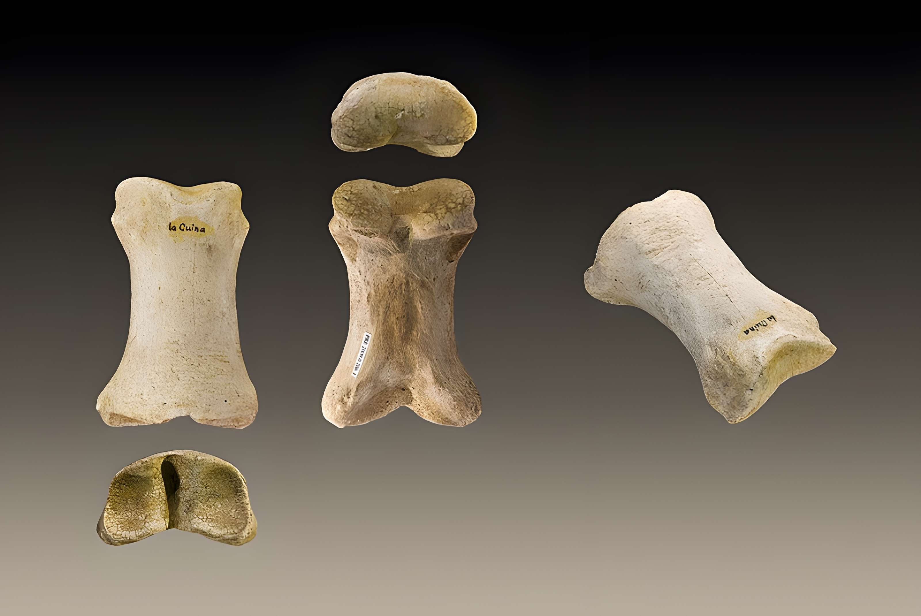 Le site préhistorique de la Quina à Gardes-le-Pontaroux