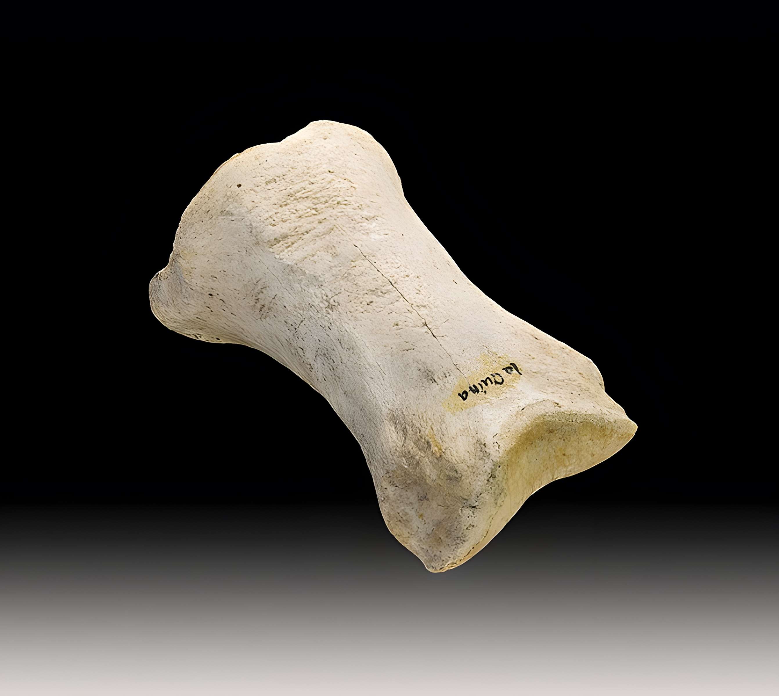 Le site préhistorique de la Quina à Gardes-le-Pontaroux