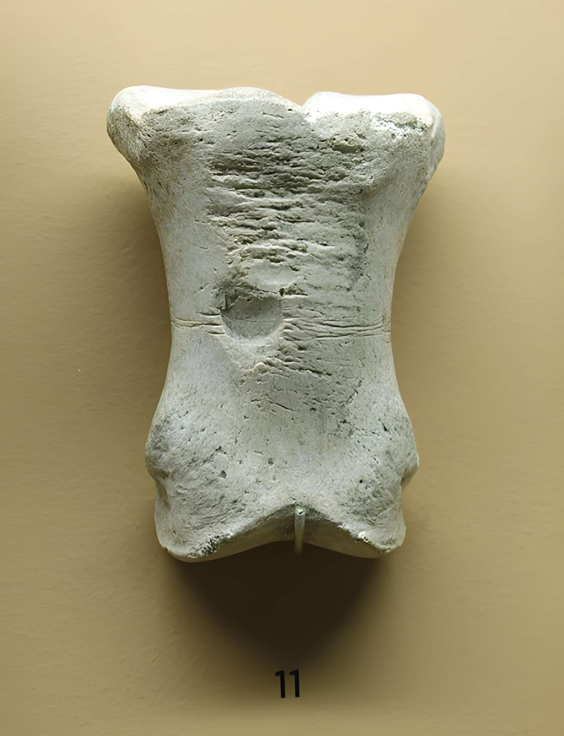 Le site préhistorique de la Quina à Gardes-le-Pontaroux