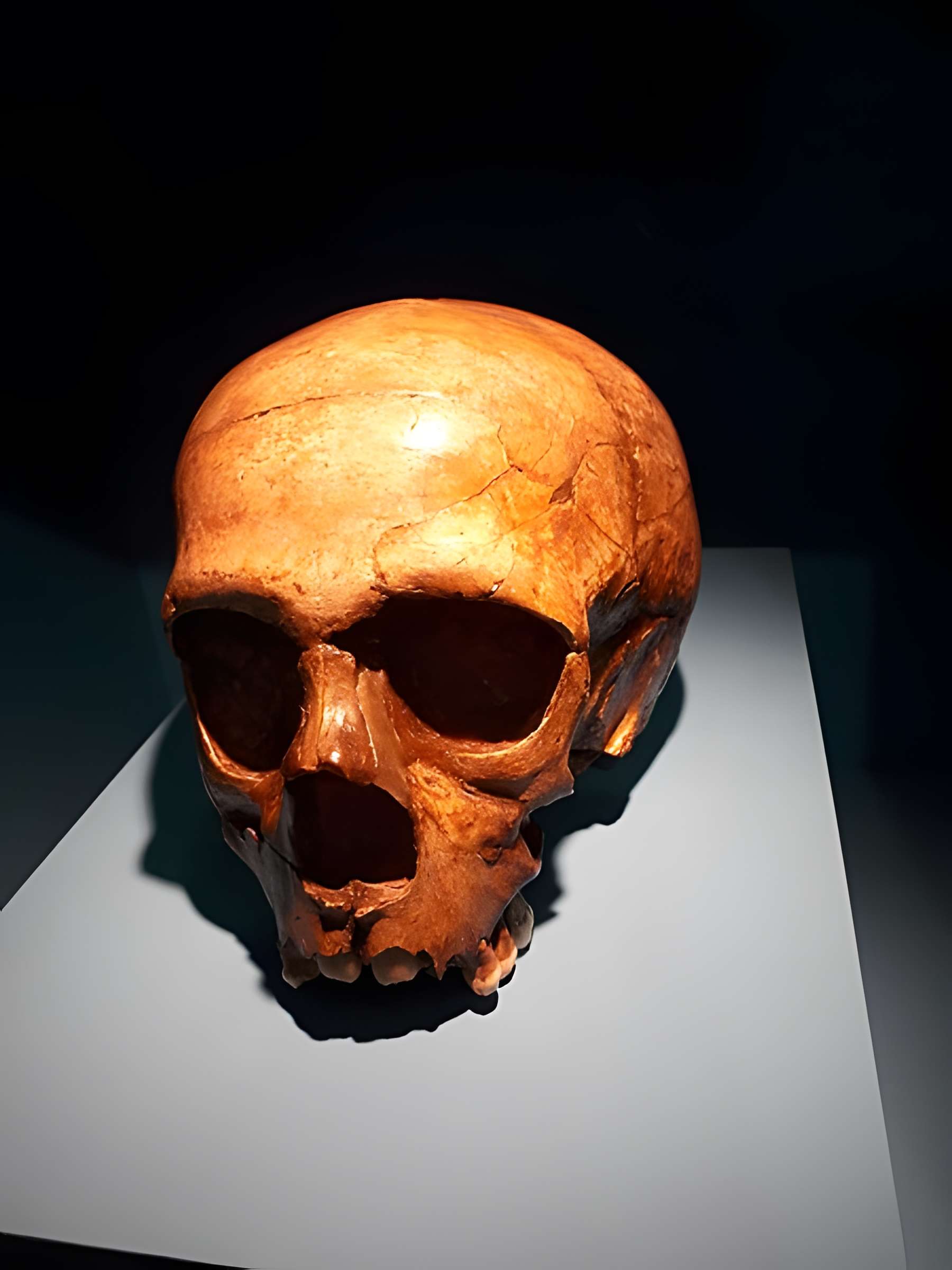 Le site préhistorique de la Quina à Gardes-le-Pontaroux